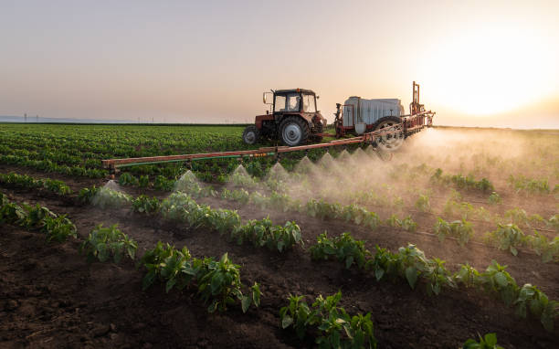 Best Spider Control Near Me  in Ford City, CA