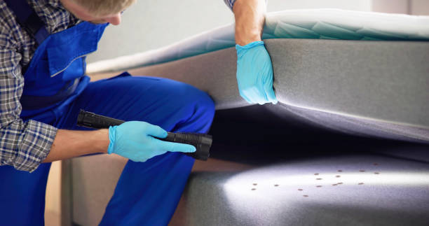 Best Flea Control Services  in Ford City, CA