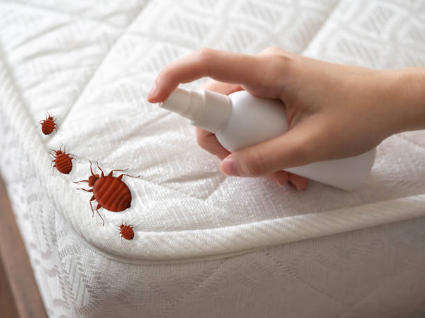 Best Cockroach Control Services  in Ford City, CA
